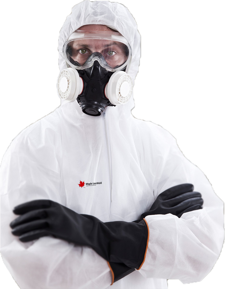 mold-removal-staff