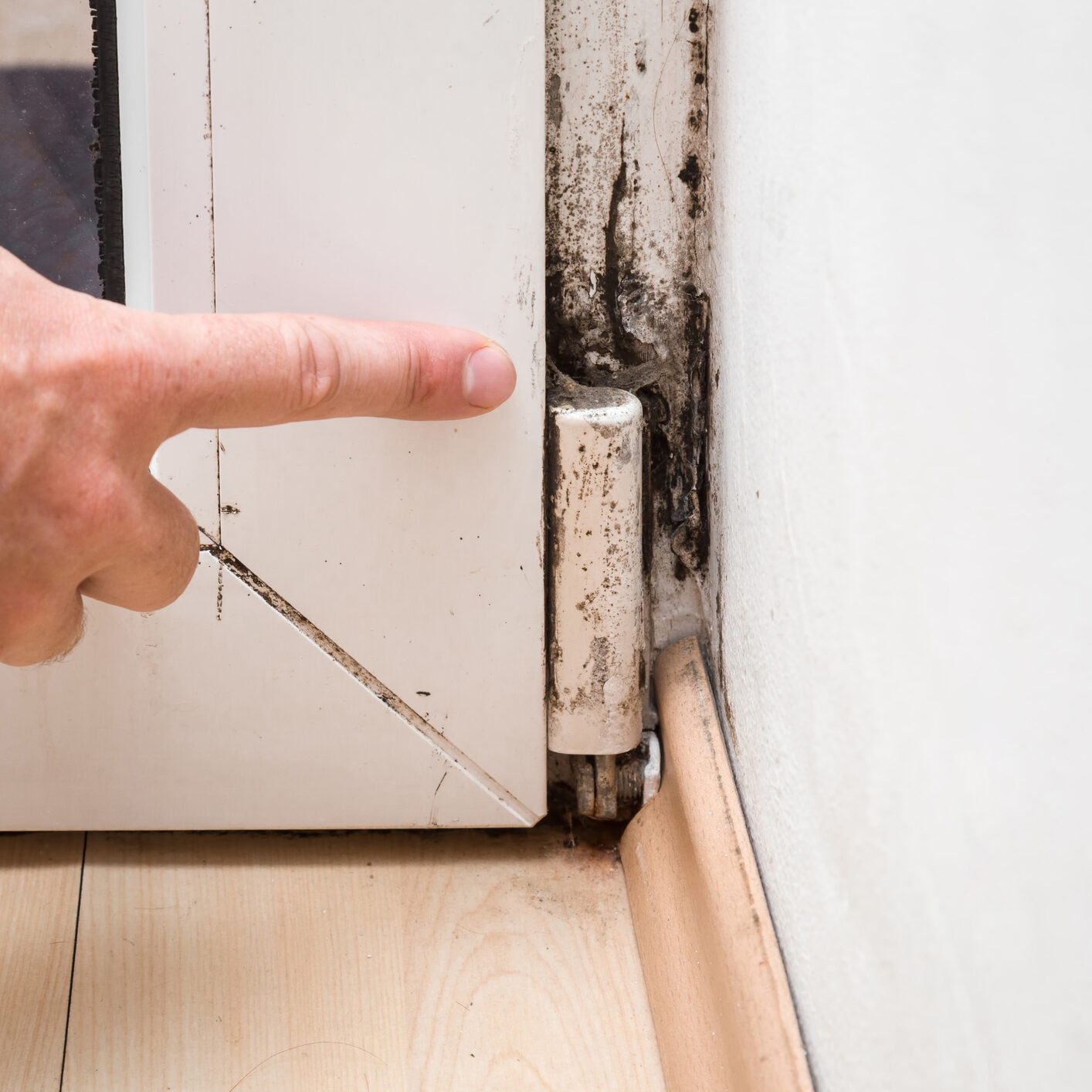 Hand pointing to the mold in the window corner.